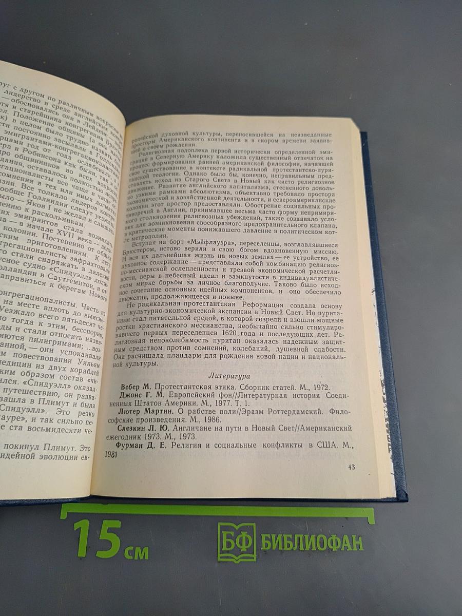 Ранняя американская философия