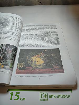 Изобразительное искусство, 5 класс