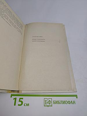 Предел возможного