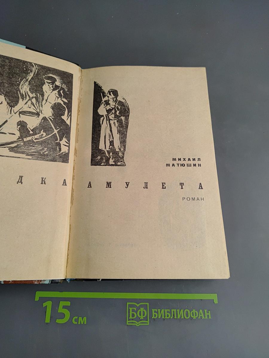 Загадки амулета
