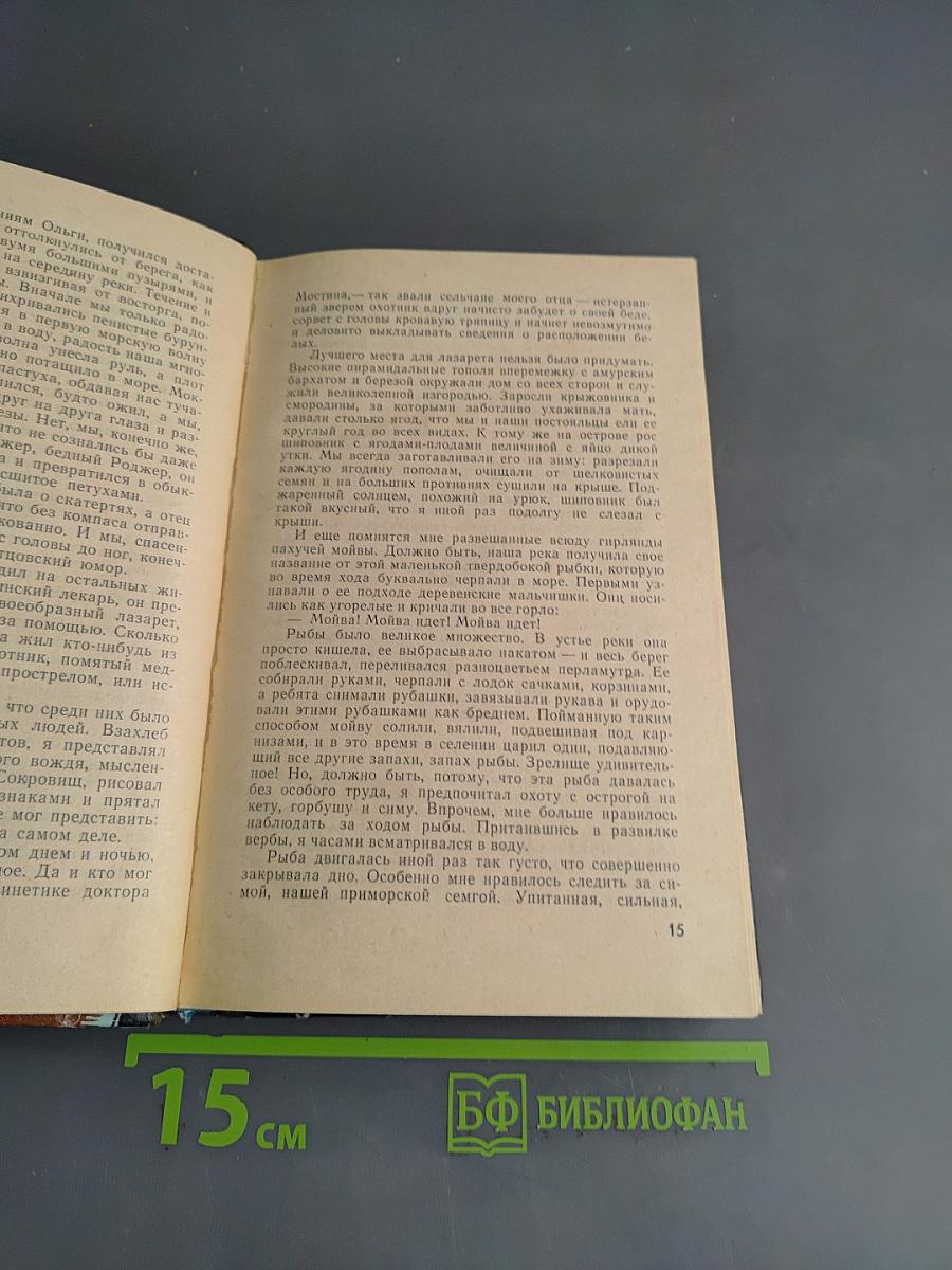 Загадки амулета