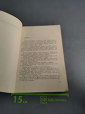 Пятьсот шагов до родины