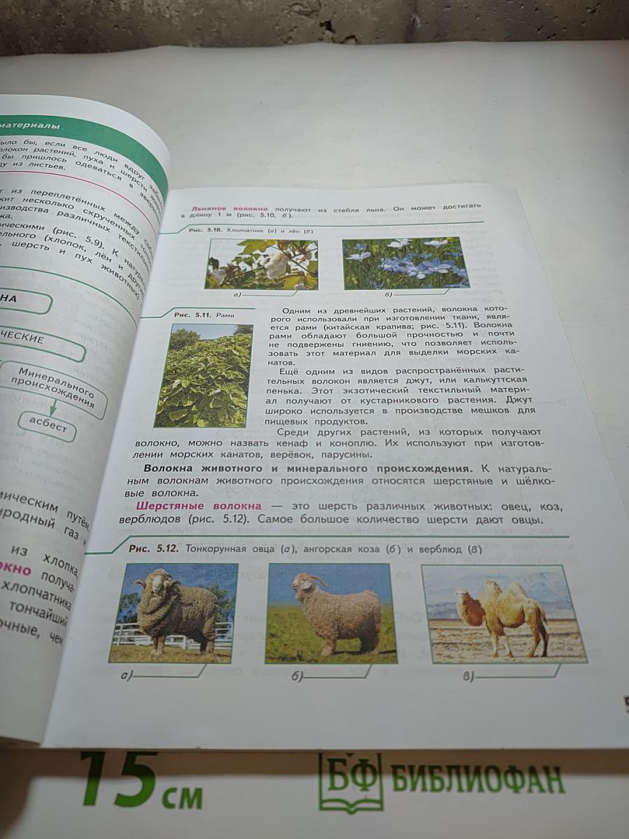 Технология 5 класс