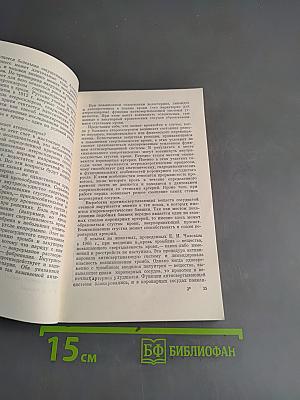 Цивилизация и сердце