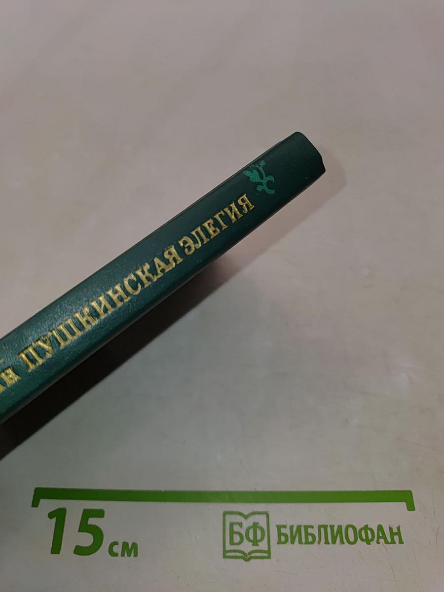 Пушкинская элегия