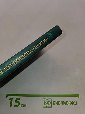Пушкинская элегия