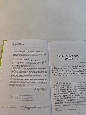 Стихотворения в прозе