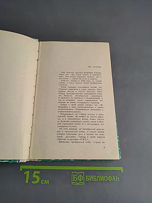 Тимур и его команда. Судьба барабанщика