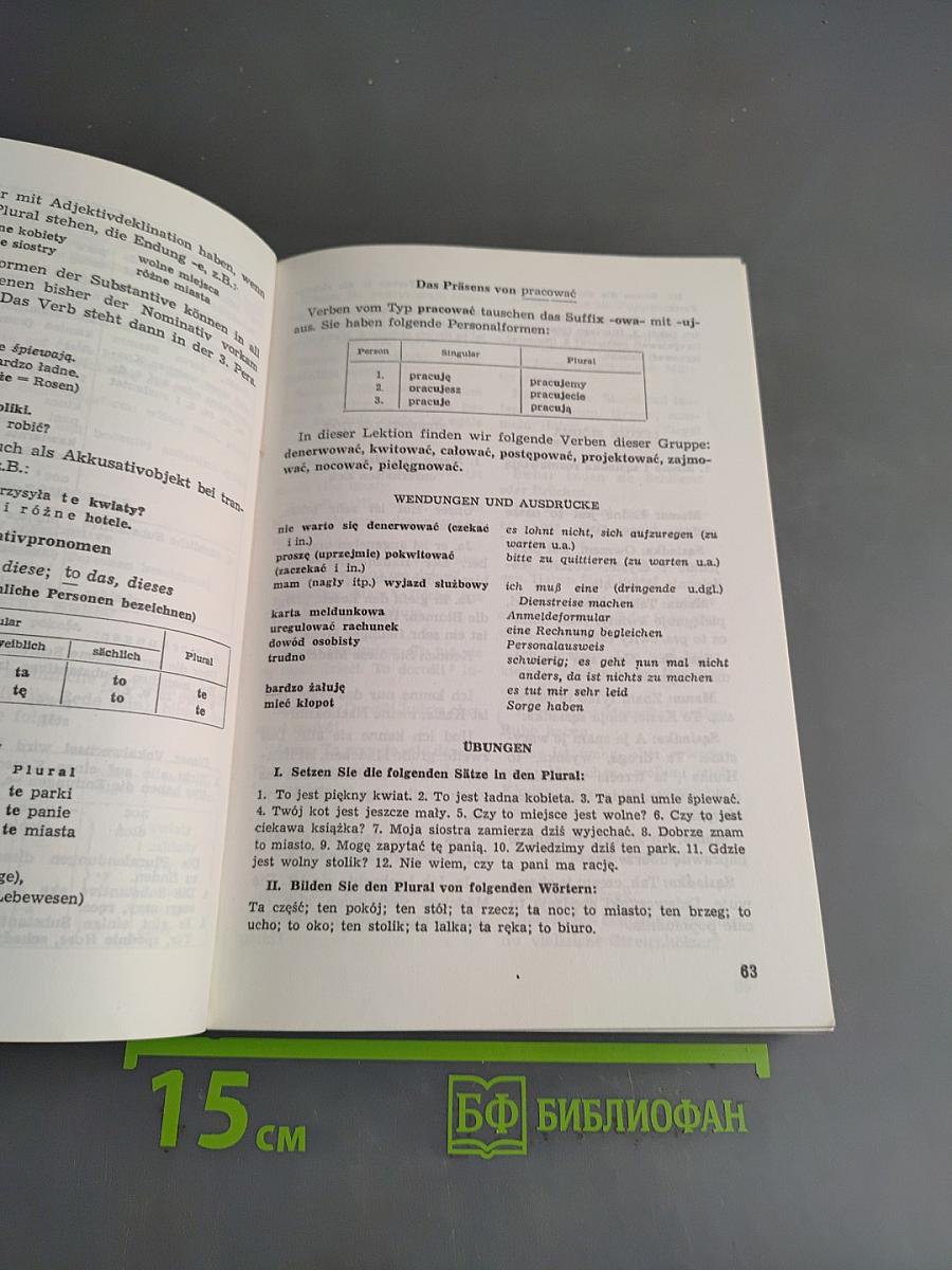 Mówimy po polsku. Lehrbuch der polnischen Sprache für Anfänger