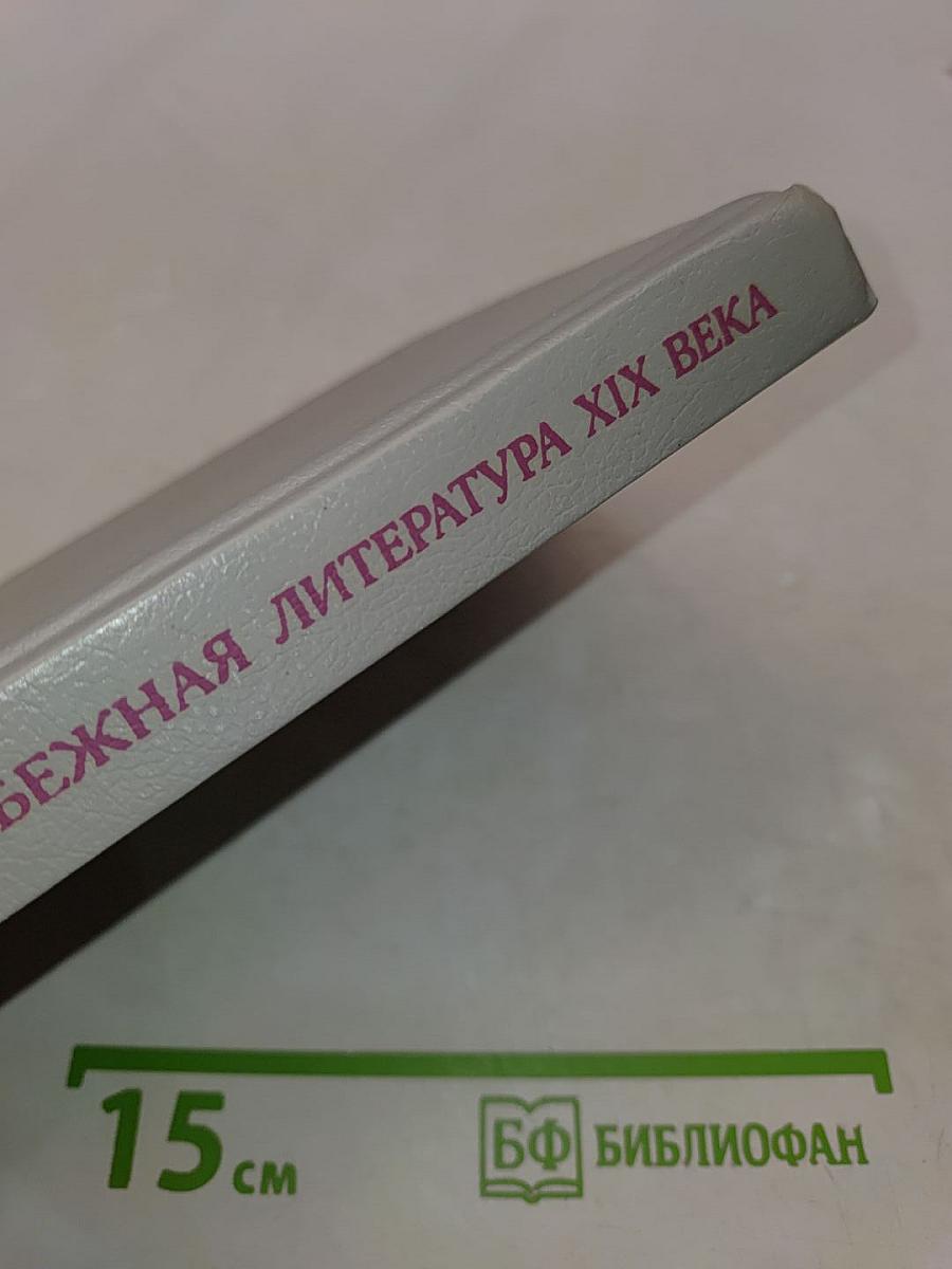 Зарубежная литература XIX века. Реализм