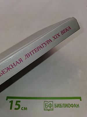 Зарубежная литература XIX века. Реализм
