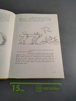 Poradnik życiowy