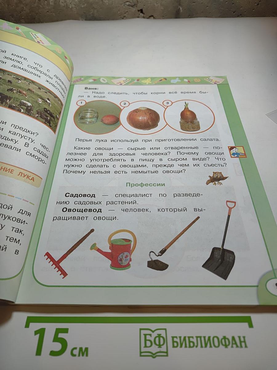 Технология 2 класс
