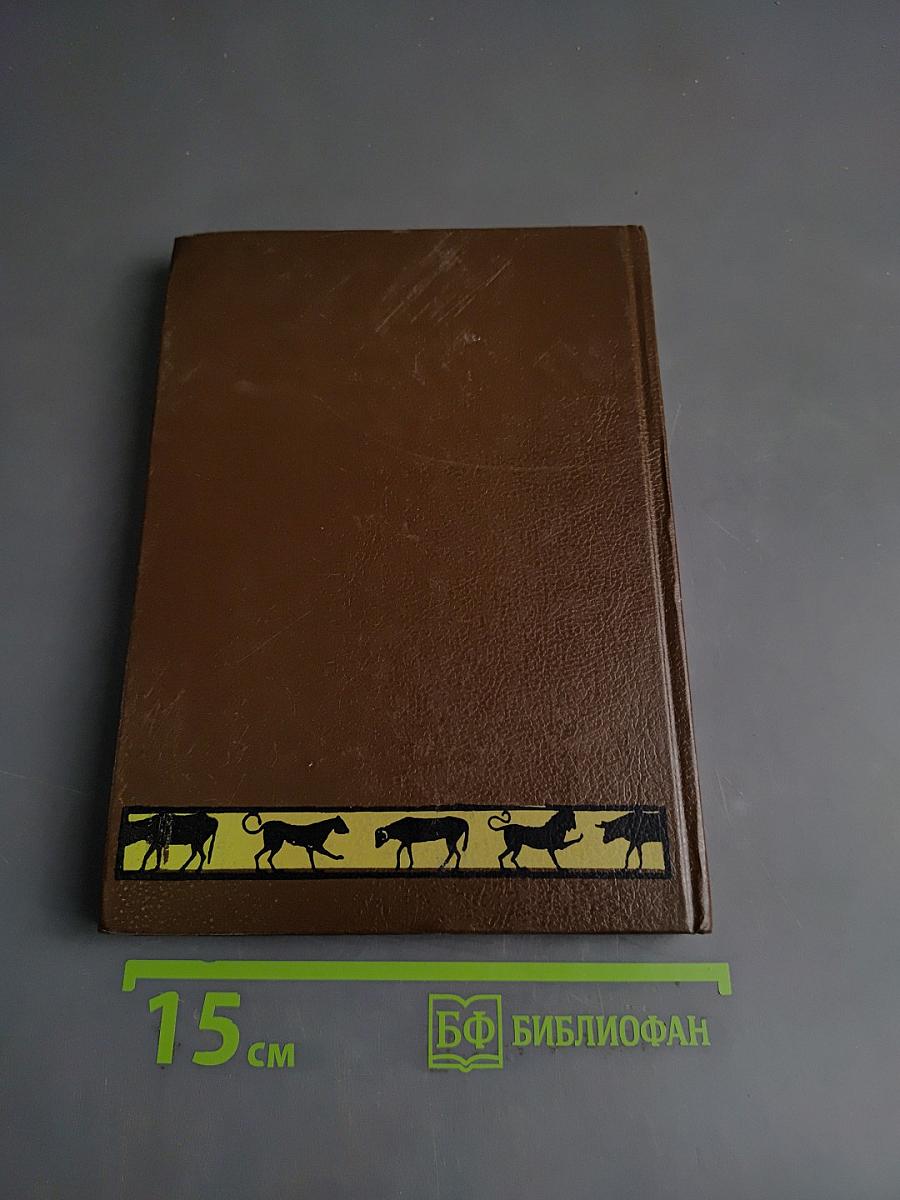 Эмпедокл. Философия, врач и чародей