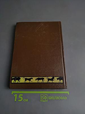 Эмпедокл. Философия, врач и чародей