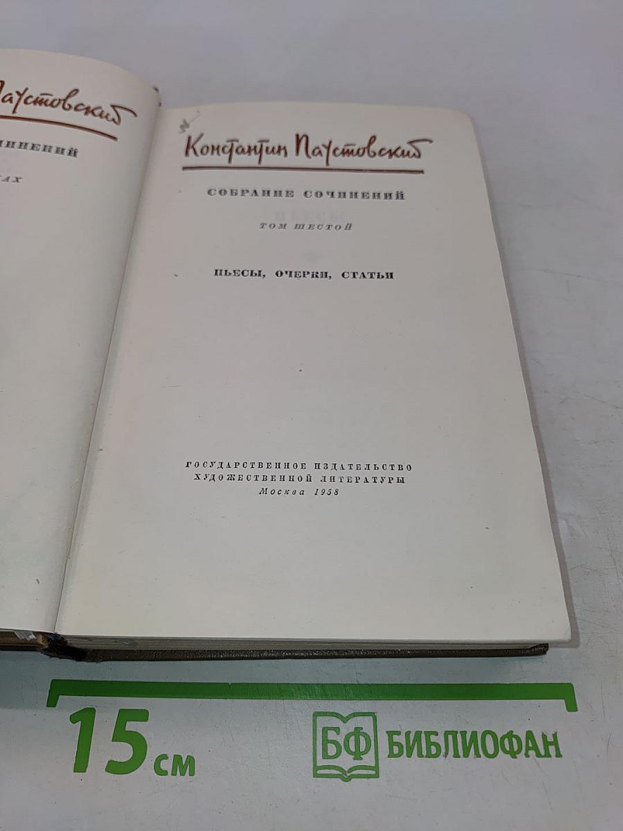 Собрание сочинений. Том шестой. Пьесы, очерки, статьи