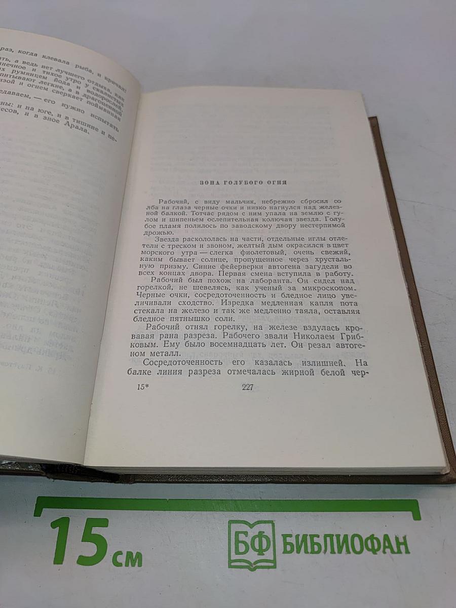 Собрание сочинений. Том шестой. Пьесы, очерки, статьи