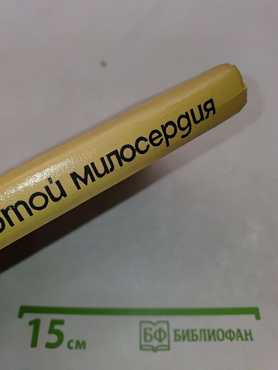 За чертой милосердия