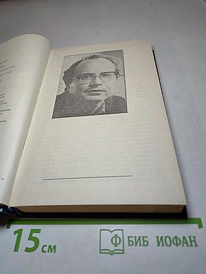 Солнцеворот