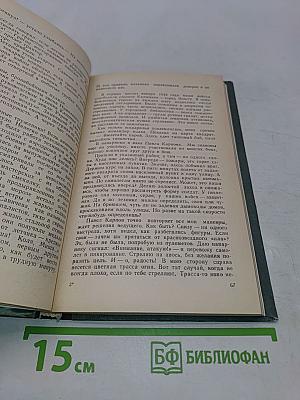 Штурмовики над Днепром