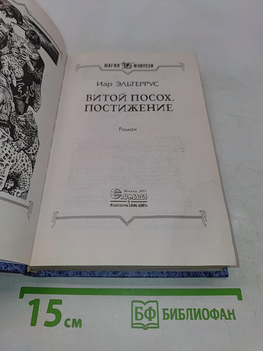 Витой посох. Постижение
