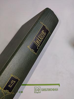Собрание сочинений. Том двадцать седьмой: Повести 60-х годов. Тайна Эдвина Друда