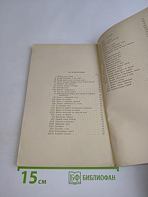 Рольф в лесах