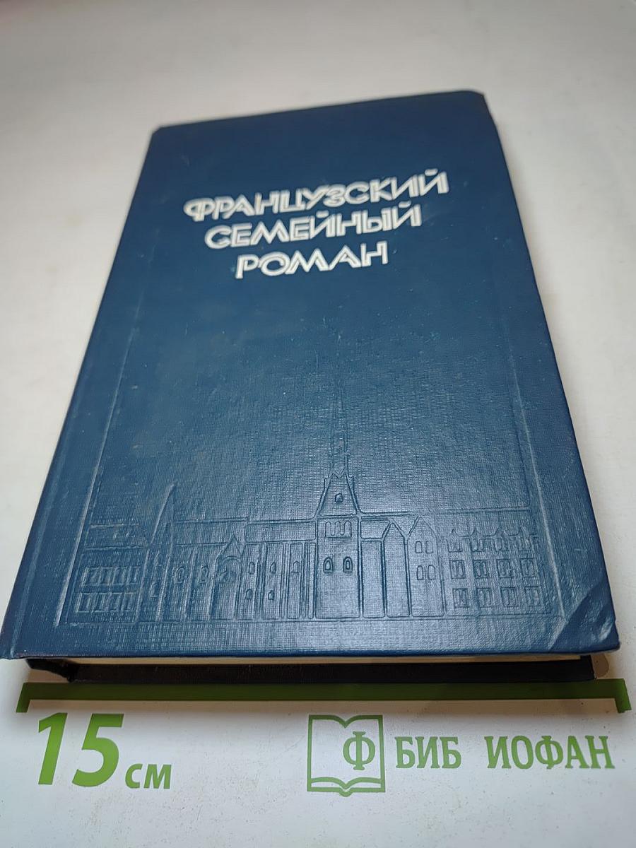 Французский семейный роман