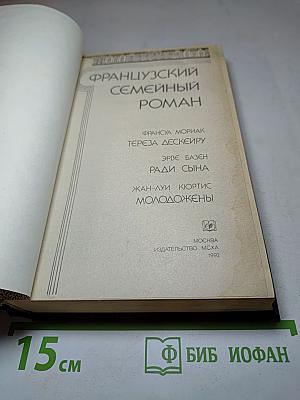 Французский семейный роман