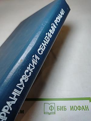 Французский семейный роман