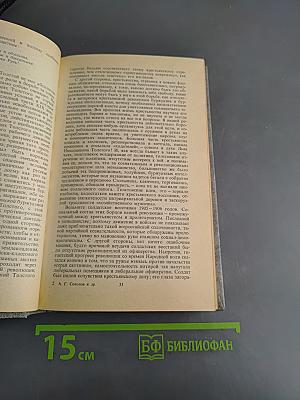 Русская литературная критика конца XIX - начала XX века. Хрестоматия