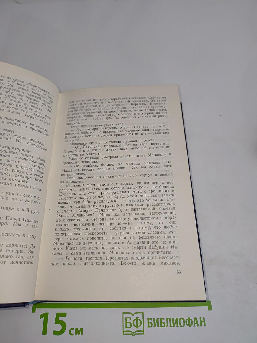 Вольпица. Повесть. Том пятый