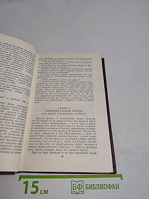 Сестра Керри. Западня