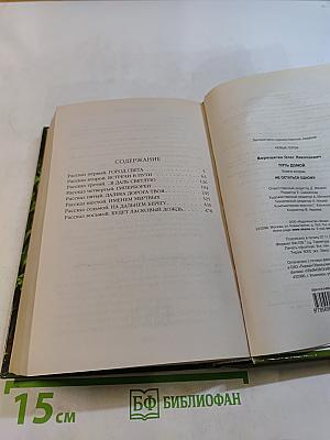 Путь домой. Книга вторая. Не остаться одному