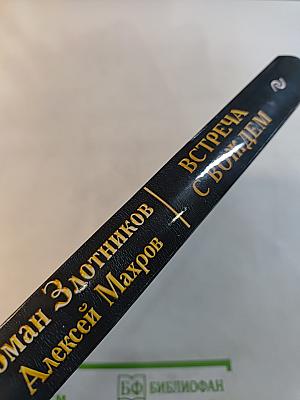 Встреча с вождем