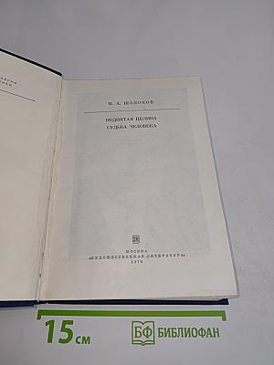 Поднятая целина. Судьба человека