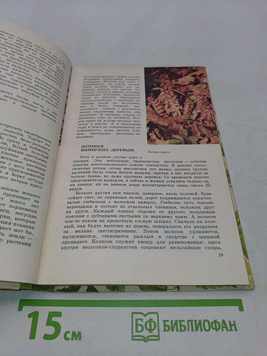 Из жизни зеленого мира