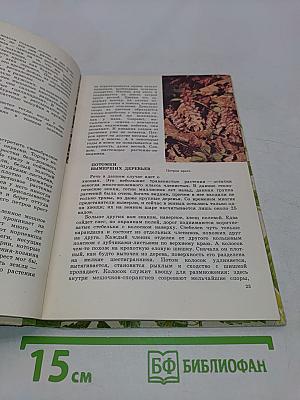 Из жизни зеленого мира