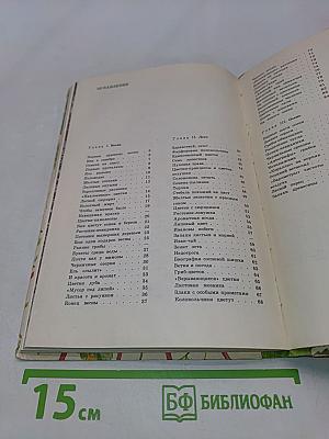 Из жизни зеленого мира