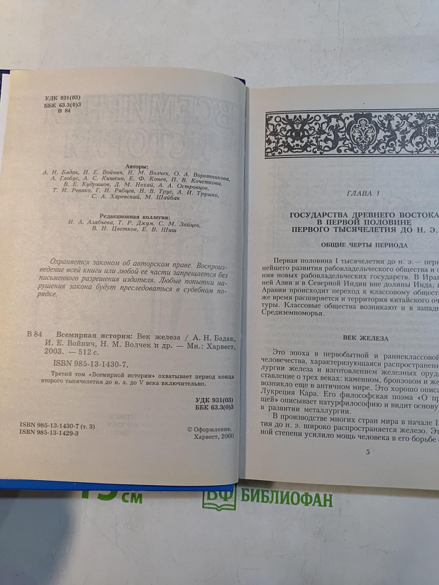 Всемирная история. Век железа