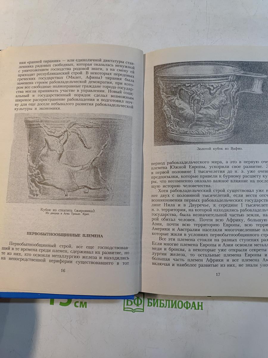 Всемирная история. Век железа