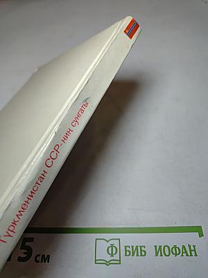 Искусство Туркменской ССР