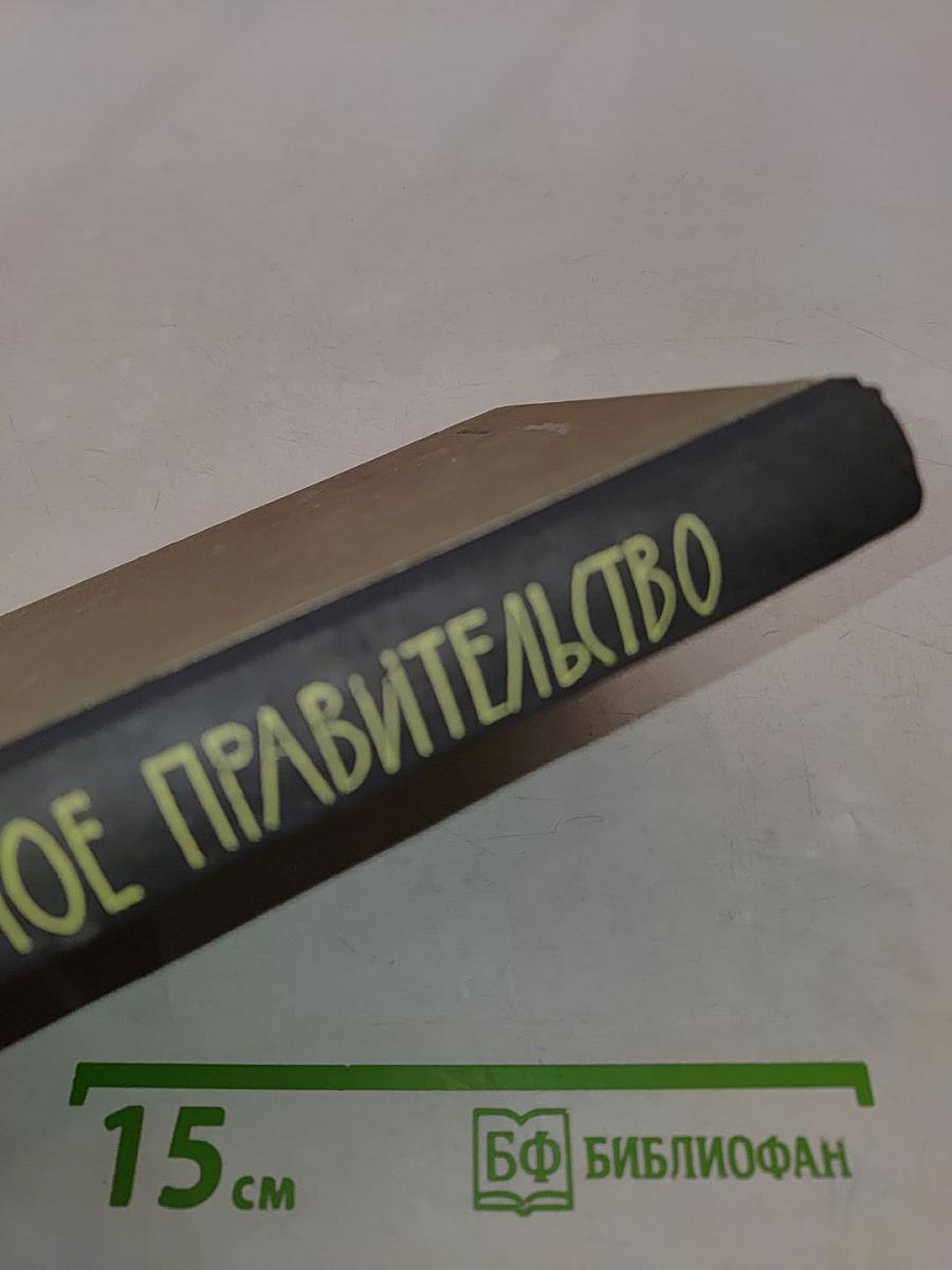 Невидимое правительство