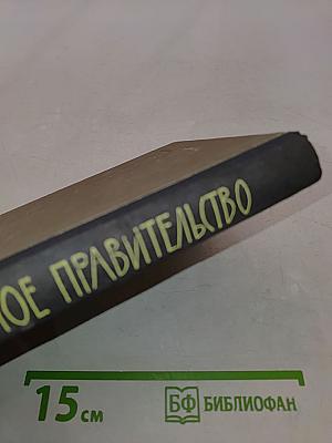 Невидимое правительство