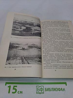 План и съемка научно-популярного фильма
