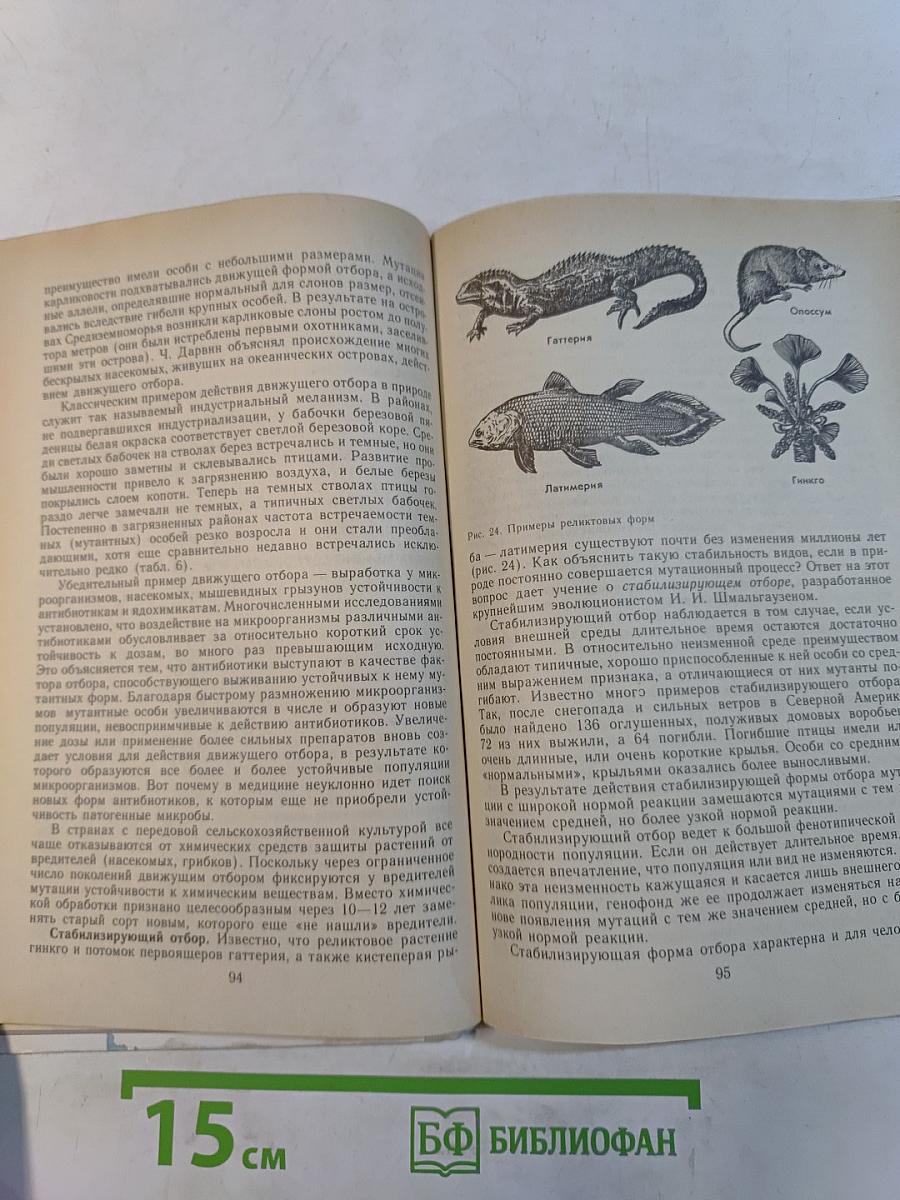 Эволюция органического мира. Факультативный курс