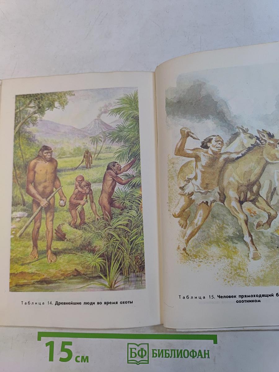 Эволюция органического мира. Факультативный курс