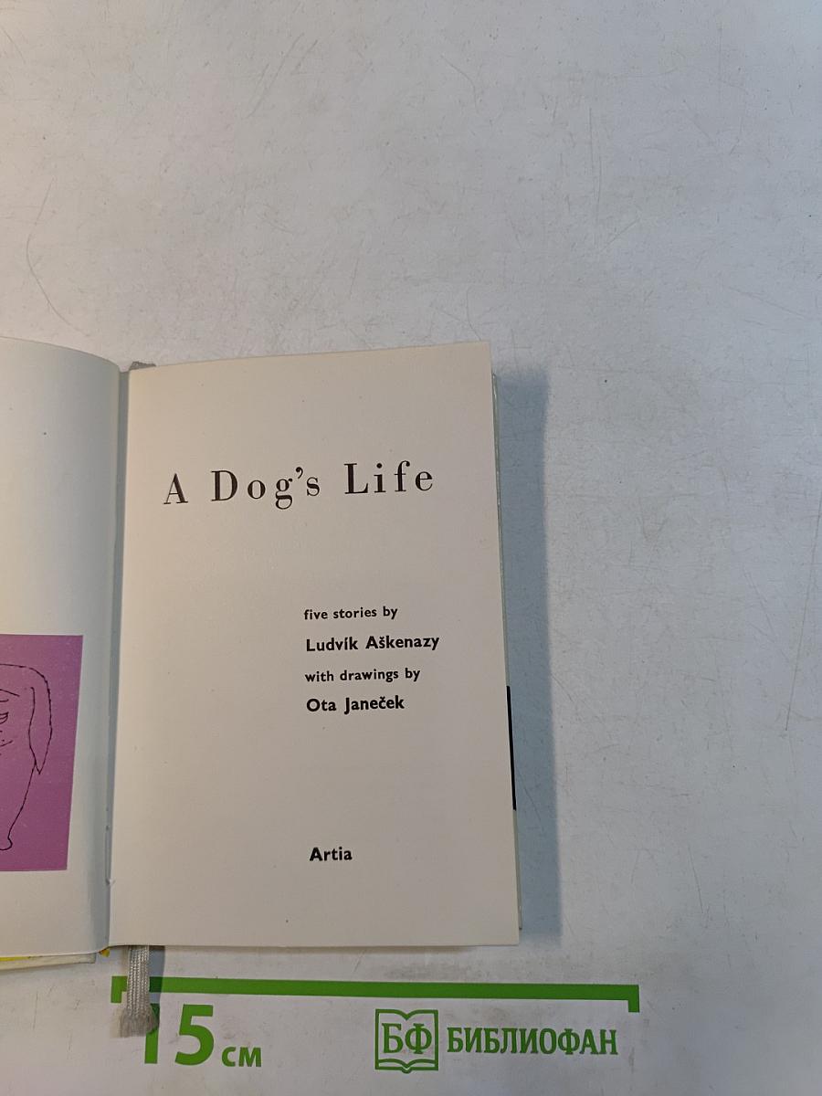 A Dog's Life