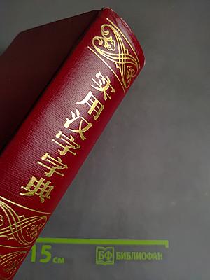 实用汉字字典