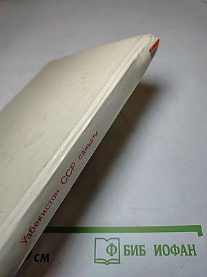 Искусство Узбекской ССР